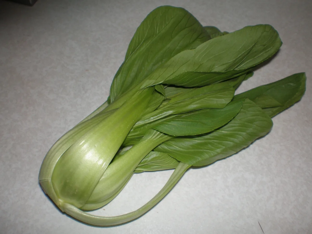 Photo: © おむこさん志望 (User:おむこさん志望), , via Wikimedia Commons — File:Brassica rapa var. chinensis (leaf).jpg; source page · CC BY 2.5 · via Wikimedia Commons Bok Choy (Brassica rapa subsp. chinensis), photograph