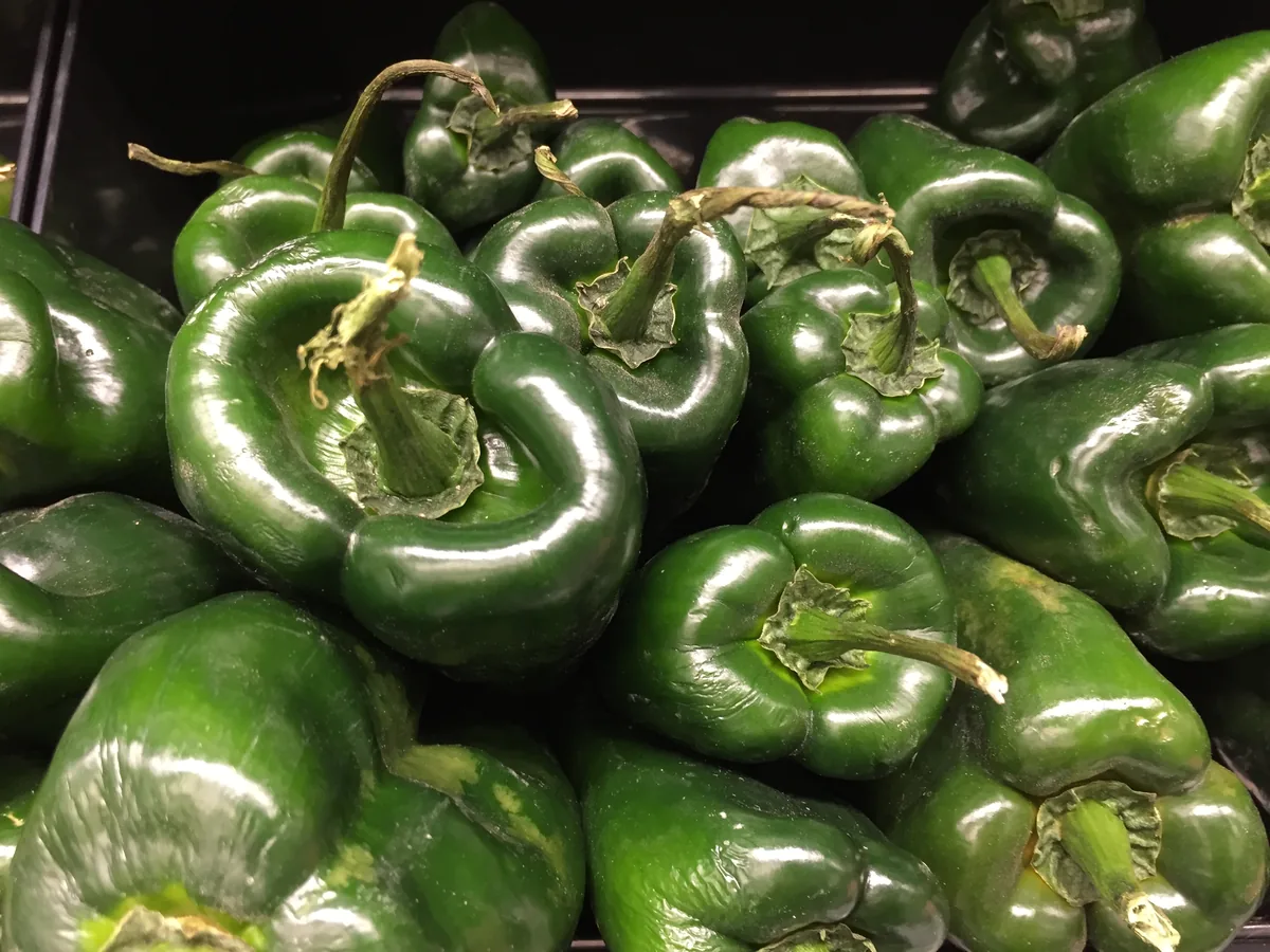 Photo: Jonathan Cutrer, via Flickr / Wikimedia Commons · CC0 · via Wikimedia Commons poblano pepper (Capsicum annuum Poblano Group), photograph