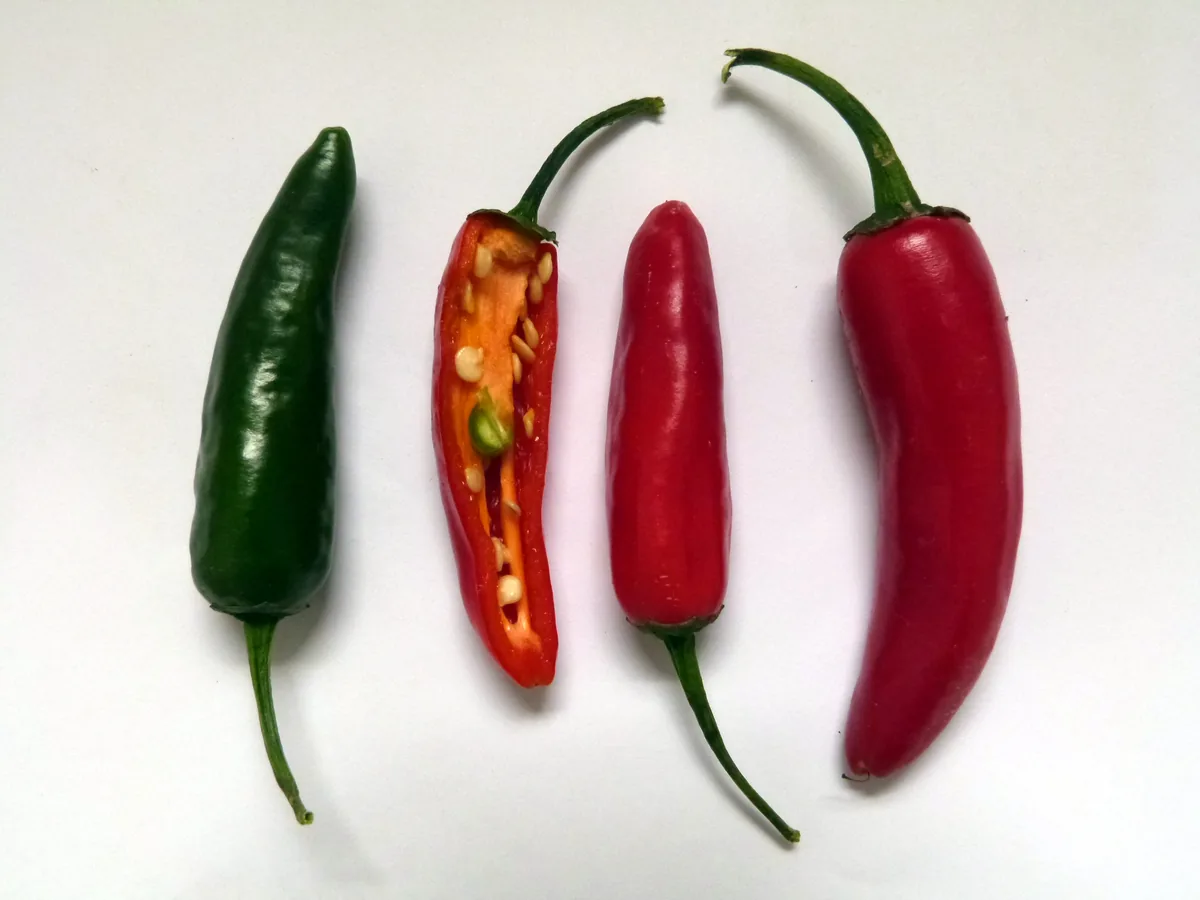 Photo: Don Manfredo, own work, via Wikimedia Commons · CC BY-SA 4.0 · via Wikimedia Commons serrano pepper (Capsicum annuum Serrano Group), photograph