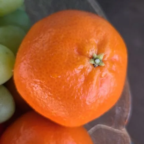 Photo: Deividas, via ibbi · CC BY · via GBIF tangerine (Citrus reticulata), photograph