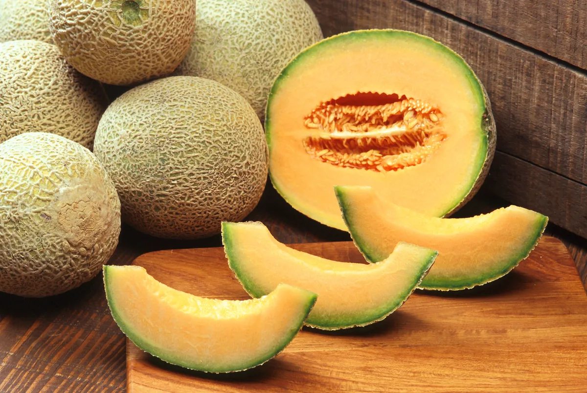 Photo: USDA / Scott Bauer (Image K7355-11), public domain, via Wikimedia Commons · Public domain · via Wikimedia Commons Cantaloupe (Cucumis melo), photograph
