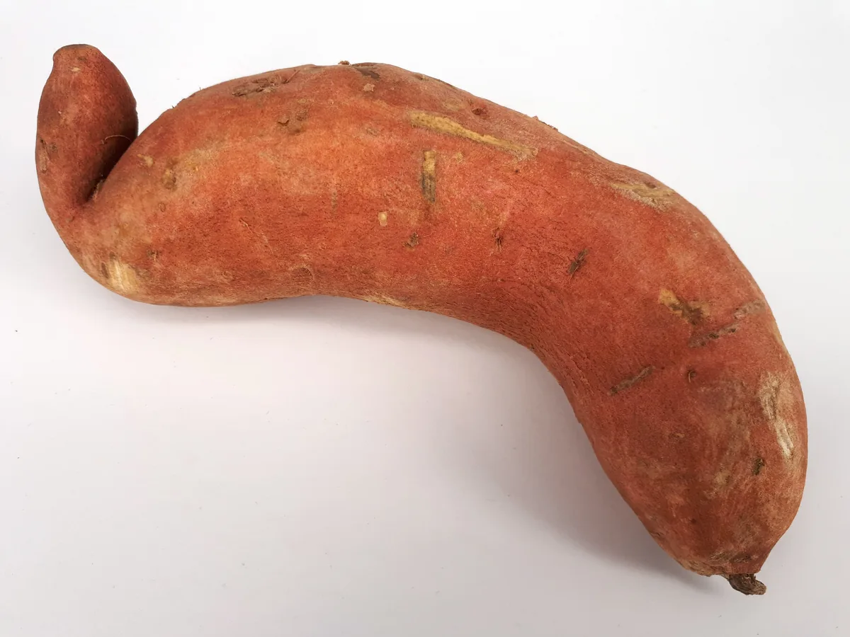 Photo: Fructibus · CC0 · via Wikimedia Sweet Potato, photograph