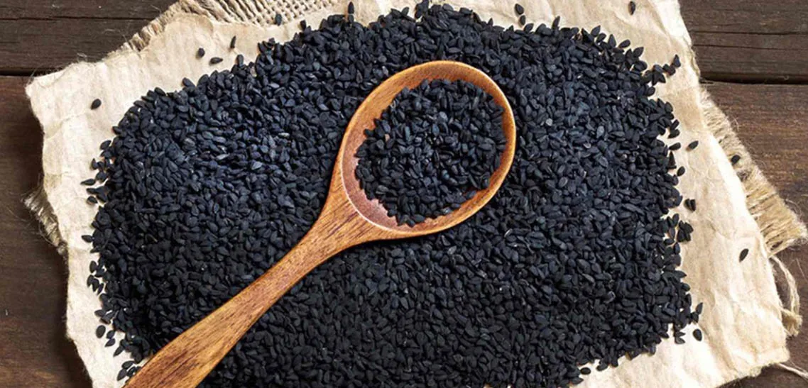 black seed (Nigella sativa), photograph
