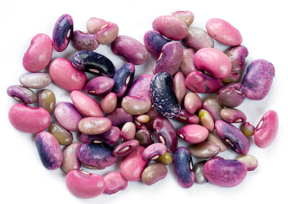 Photo: Hugowolf at English Wikipedia · CC BY 3.0 · via Wikimedia Commons scarlet runner bean (Phaseolus coccineus), photograph