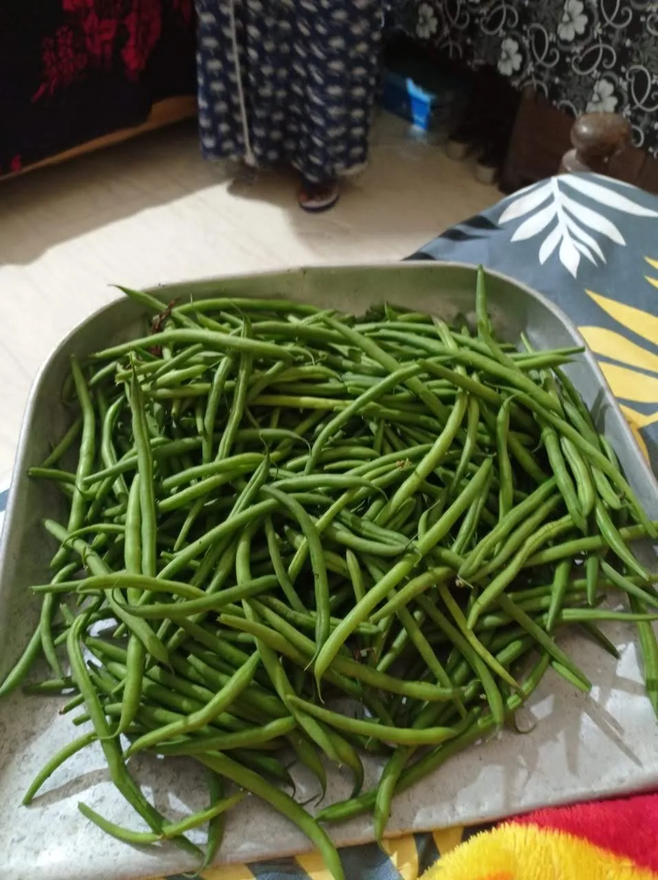 Photo: Aldrina A Manashe, CC0 (public-domain dedication), via Wikimedia Commons · CC0 · via Wikimedia Commons Snap Bean (Phaseolus vulgaris), photograph