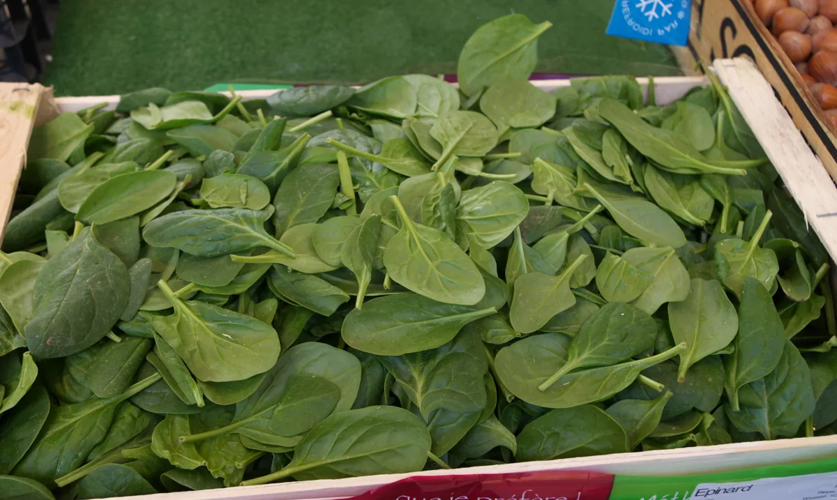 Photo: Dinkum · CC0 · via Wikimedia Commons spinach (Spinacia oleracea), photograph