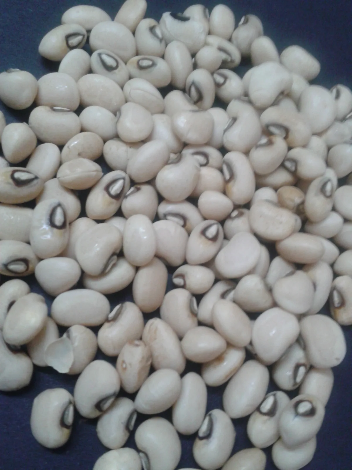 Photo: Dr.S.Soundarapandian · CC0 · via Wikimedia Black-eyed Pea, photograph
