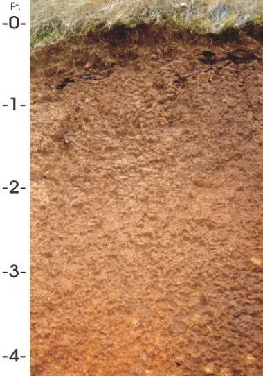 Jory soil profile: deep red-brown iron-rich soil weathered from basalt