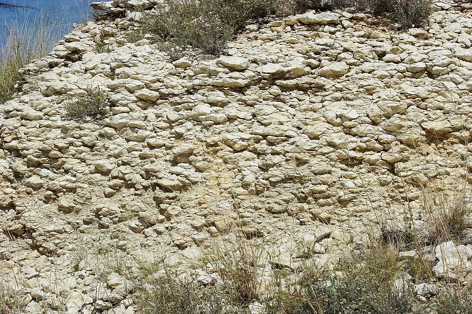 Hardened white caliche layer exposed in central Texas