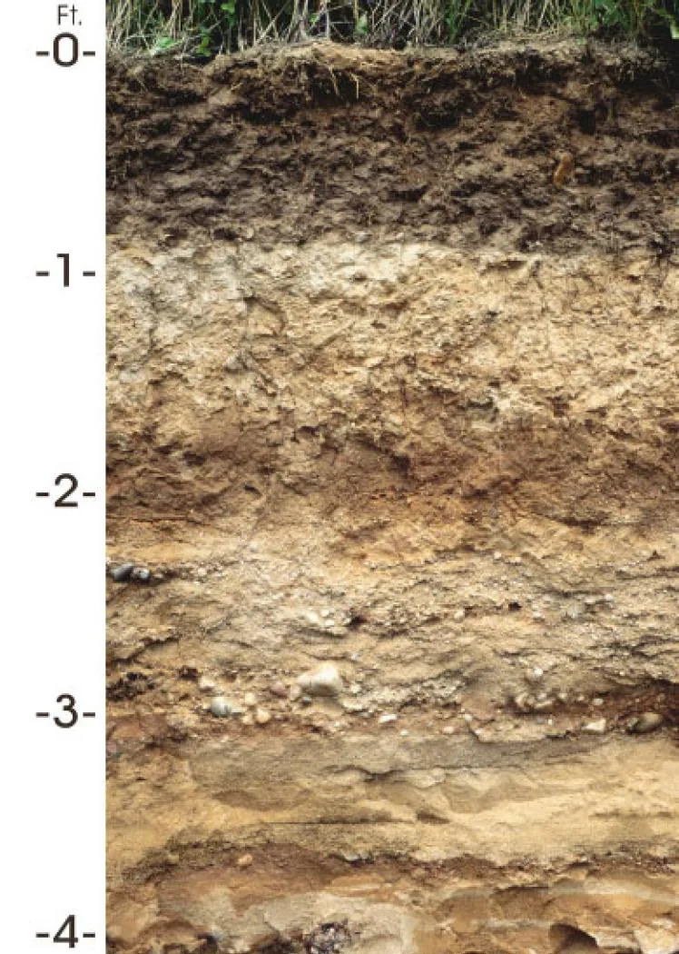 Antigo soil profile: silt over stratified sandy glacial outwash