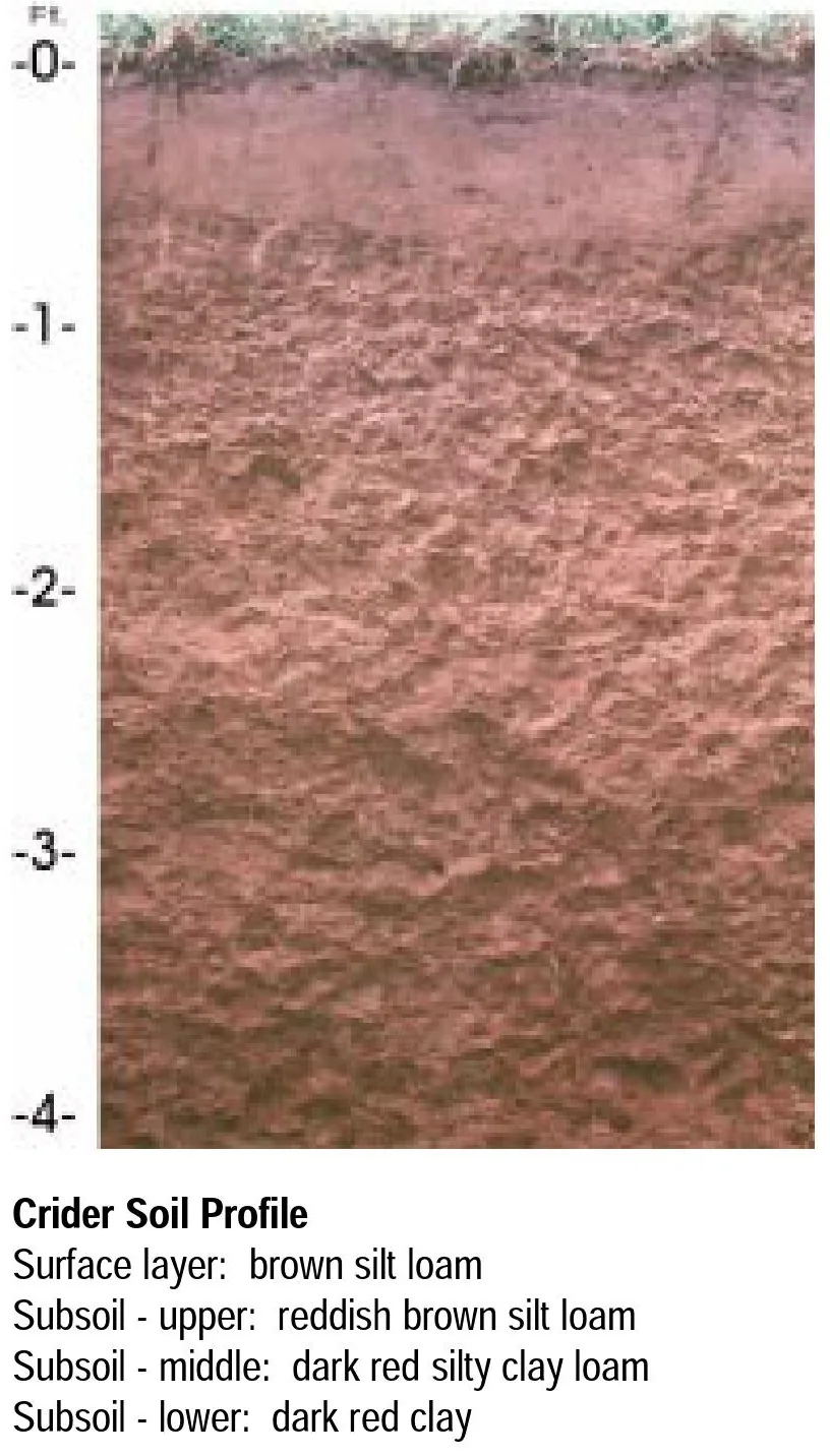 Crider soil profile: deep reddish silt loam over clay, weathered from limestone