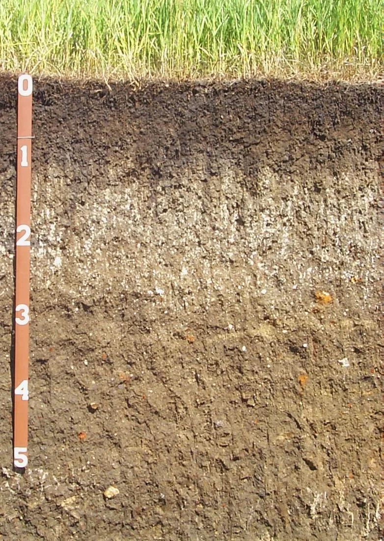 Houdek soil profile: dark grayish-brown loam surface over clay-loam subsoil, with a depth scale