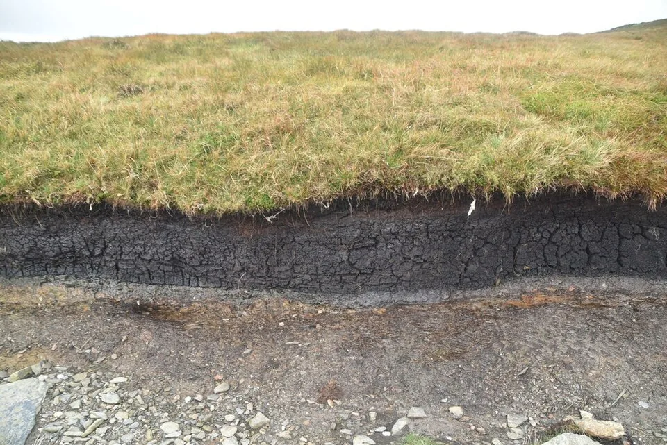 Black peat bank exposed beneath living moor grass