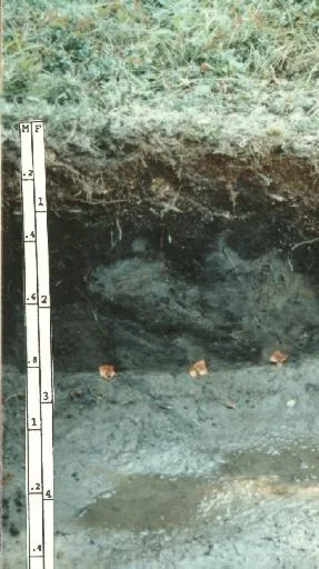 Gelisol profile: dark active layer over frozen, gleyed substrate with a depth scale
