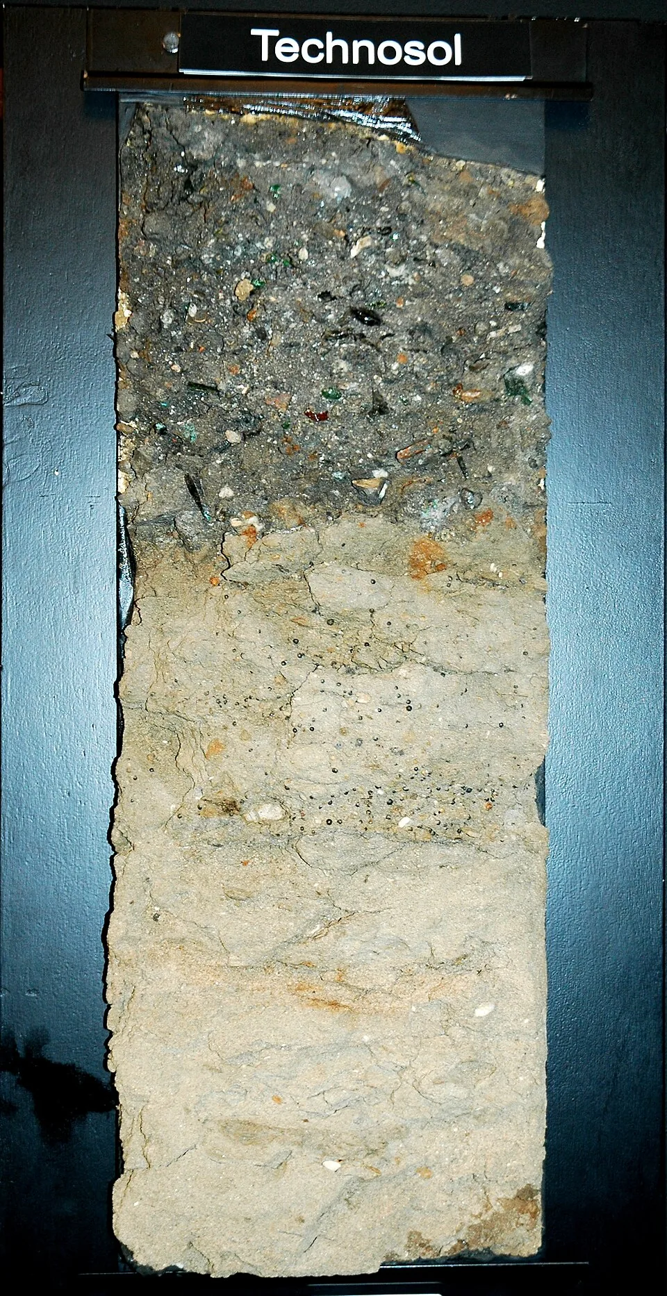 Technosol soil monolith showing buried glass, brick, and concrete debris in made ground